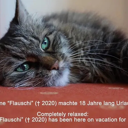 Haus Am Trielberg Гостевой дом Меерсбург