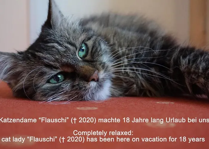 Haus Am Trielberg בית הארחה מיירסבורג