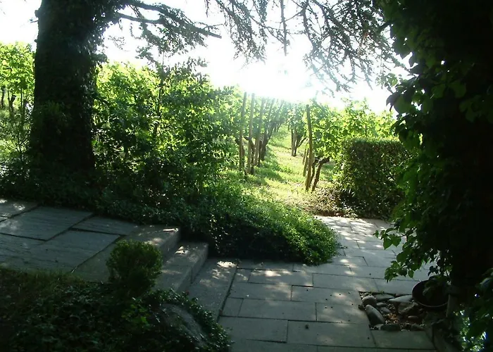 בית הארחה Haus Am Trielberg מיירסבורג